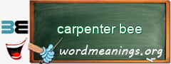 WordMeaning blackboard for carpenter bee